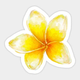 Plumeria Sticker